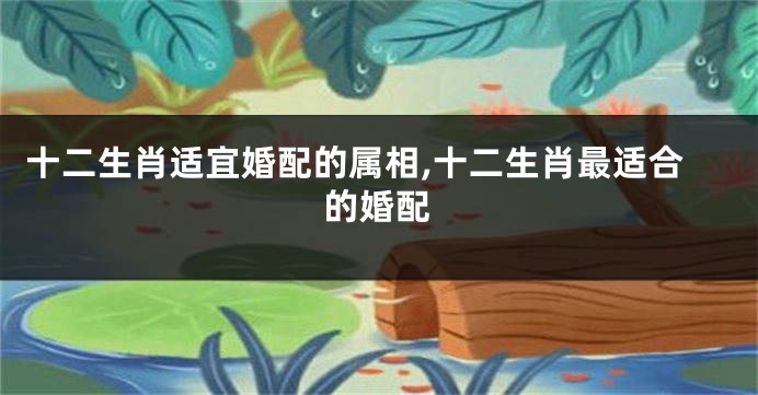 十二生肖适宜婚配的属相,十二生肖最适合的婚配