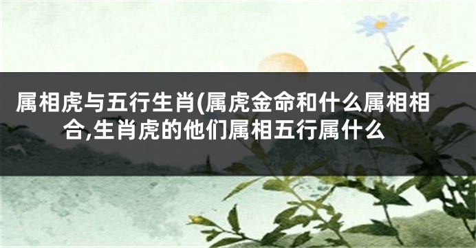 属相虎与五行生肖(属虎金命和什么属相相合,生肖虎的他们属相五行属什么