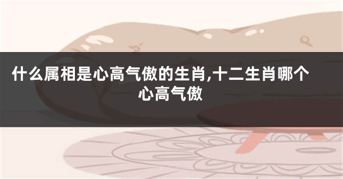 什么属相是心高气傲的生肖,十二生肖哪个心高气傲