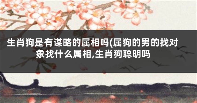 生肖狗是有谋略的属相吗(属狗的男的找对象找什么属相,生肖狗聪明吗