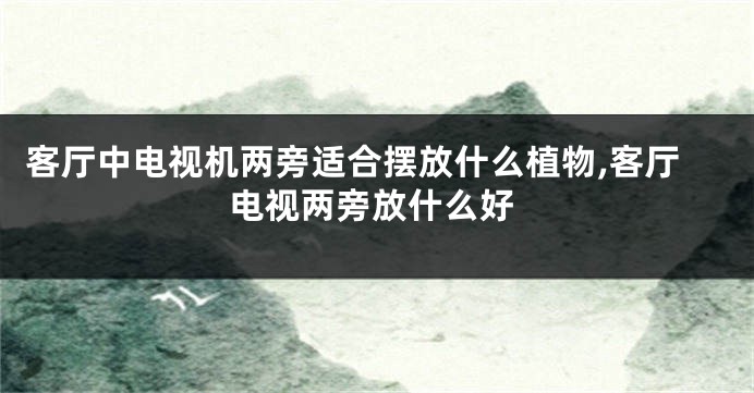 客厅中电视机两旁适合摆放什么植物,客厅电视两旁放什么好