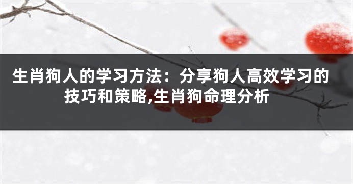 生肖狗人的学习方法：分享狗人高效学习的技巧和策略,生肖狗命理分析