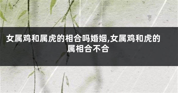 女属鸡和属虎的相合吗婚姻,女属鸡和虎的属相合不合
