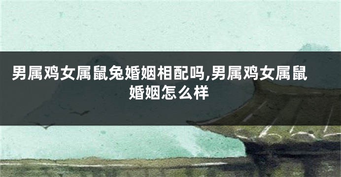 男属鸡女属鼠兔婚姻相配吗,男属鸡女属鼠婚姻怎么样