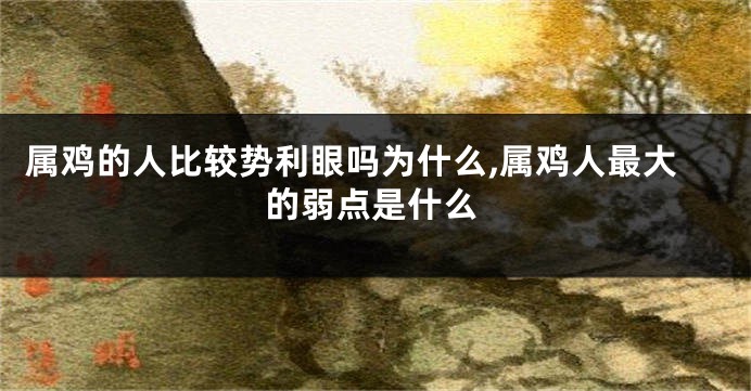 属鸡的人比较势利眼吗为什么,属鸡人最大的弱点是什么