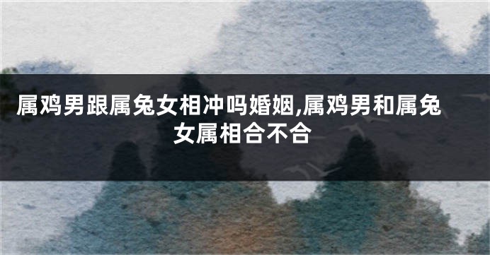 属鸡男跟属兔女相冲吗婚姻,属鸡男和属兔女属相合不合