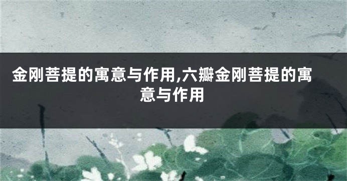 金刚菩提的寓意与作用,六瓣金刚菩提的寓意与作用