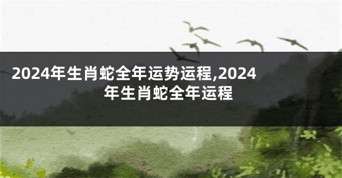 2024年生肖蛇全年运势运程,2024年生肖蛇全年运程