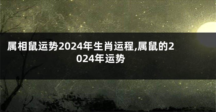 属相鼠运势2024年生肖运程,属鼠的2024年运势
