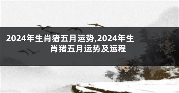 2024年生肖猪五月运势,2024年生肖猪五月运势及运程