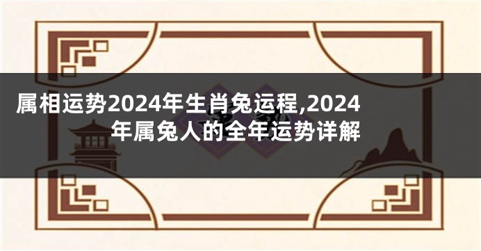 属相运势2024年生肖兔运程,2024年属兔人的全年运势详解