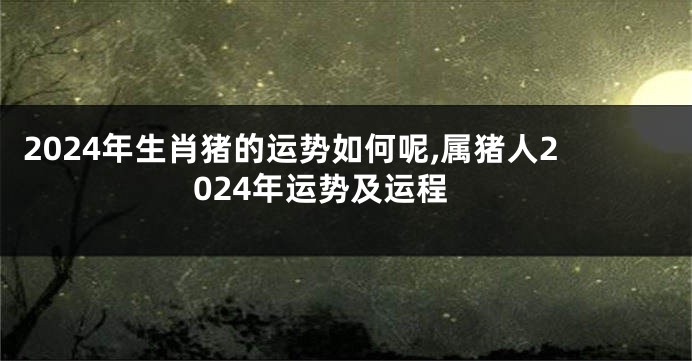 2024年生肖猪的运势如何呢,属猪人2024年运势及运程