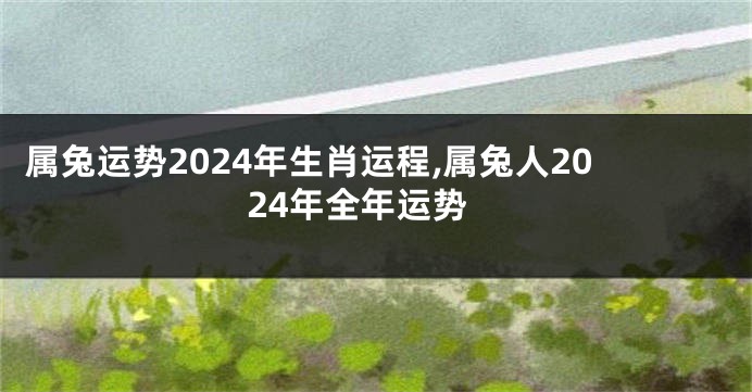属兔运势2024年生肖运程,属兔人2024年全年运势