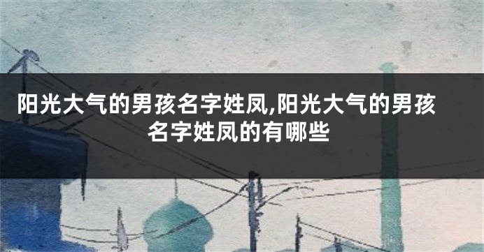 阳光大气的男孩名字姓凤,阳光大气的男孩名字姓凤的有哪些