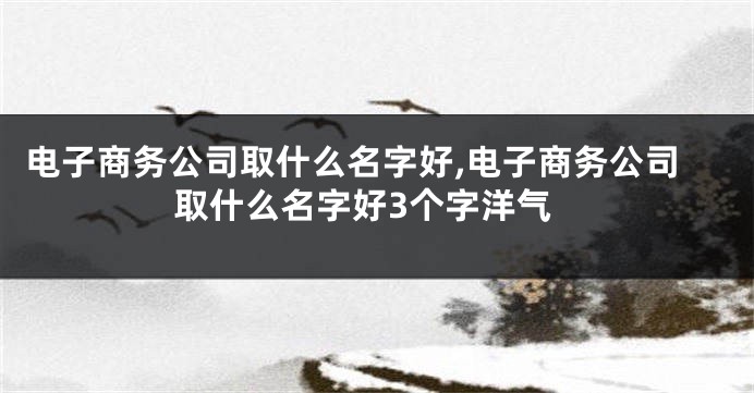 电子商务公司取什么名字好,电子商务公司取什么名字好3个字洋气