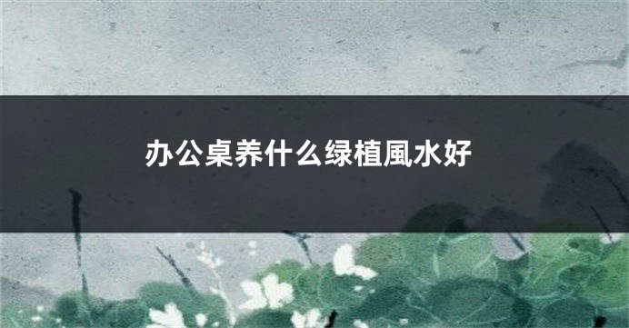 办公桌养什么绿植風水好