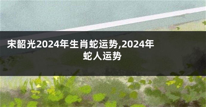 宋韶光2024年生肖蛇运势,2024年蛇人运势