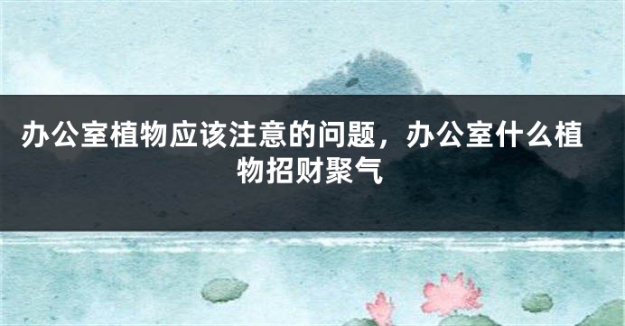 办公室植物应该注意的问题，办公室什么植物招财聚气