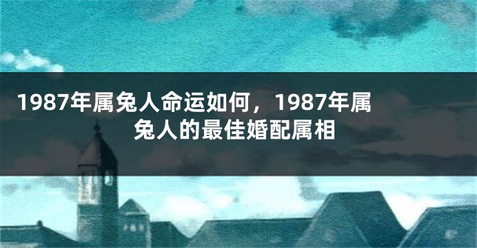 1987年属兔人命运如何，1987年属兔人的最佳婚配属相