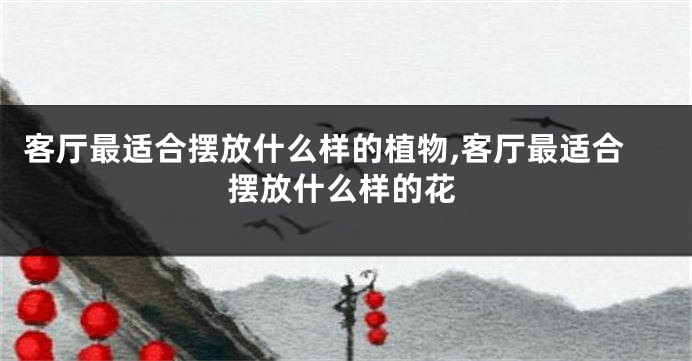 客厅最适合摆放什么样的植物,客厅最适合摆放什么样的花