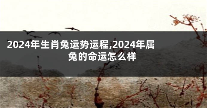 2024年生肖兔运势运程,2024年属兔的命运怎么样