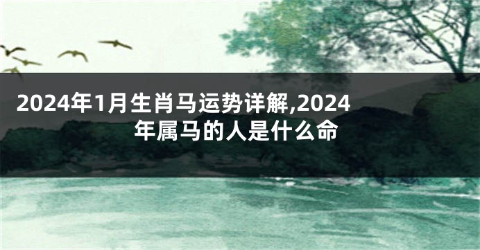 2024年1月生肖马运势详解,2024年属马的人是什么命