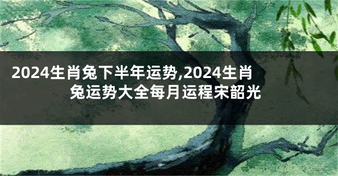 2024生肖兔下半年运势,2024生肖兔运势大全每月运程宋韶光