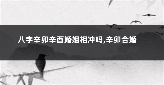 八字辛卯辛酉婚姻相冲吗,辛卯合婚