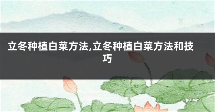 立冬种植白菜方法,立冬种植白菜方法和技巧