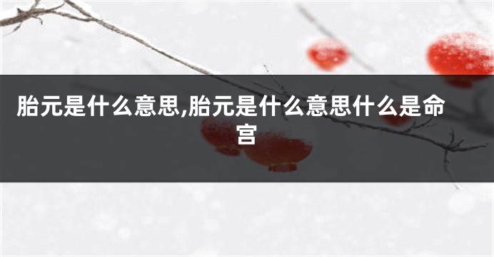 胎元是什么意思,胎元是什么意思什么是命宫
