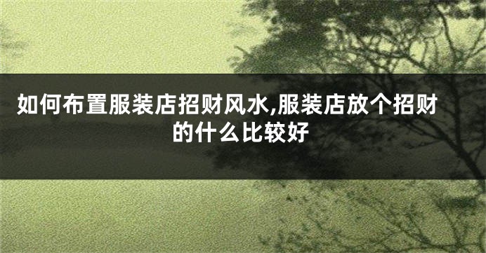 如何布置服装店招财风水,服装店放个招财的什么比较好