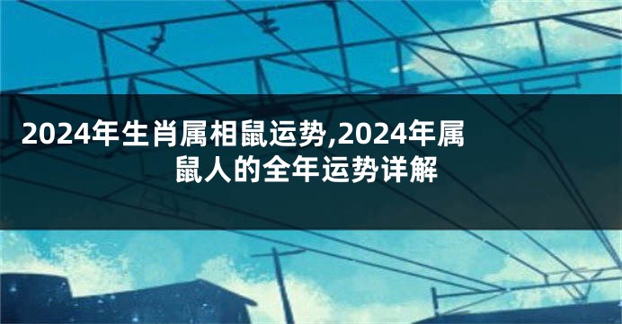 2024年生肖属相鼠运势,2024年属鼠人的全年运势详解