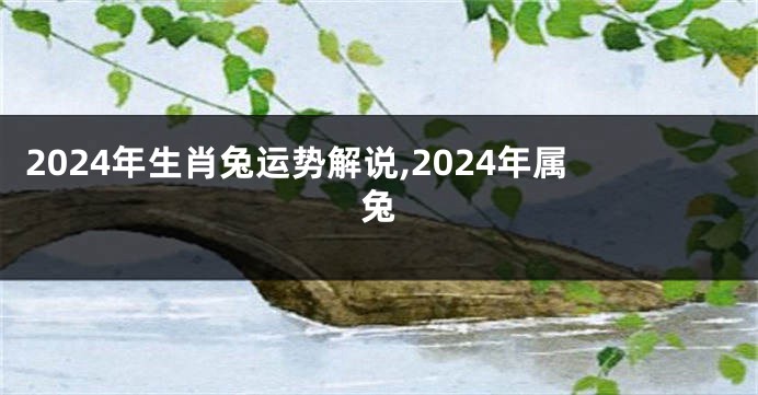 2024年生肖兔运势解说,2024年属兔
