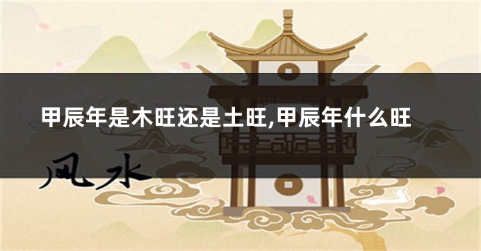 甲辰年是木旺还是土旺,甲辰年什么旺