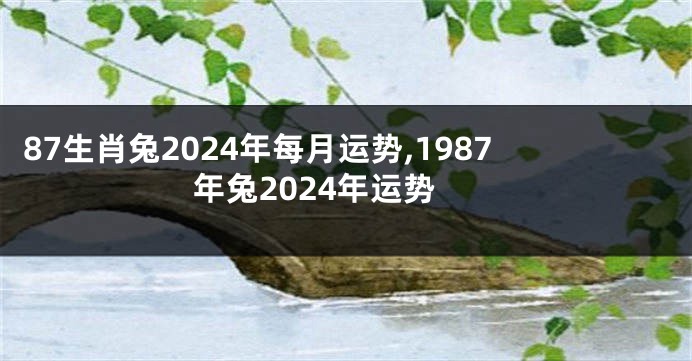 87生肖兔2024年每月运势,1987年兔2024年运势