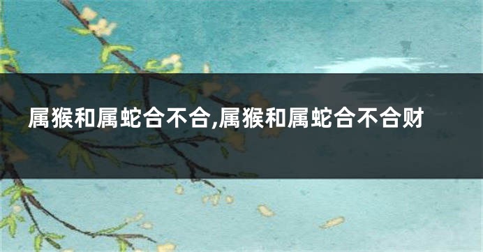 属猴和属蛇合不合,属猴和属蛇合不合财