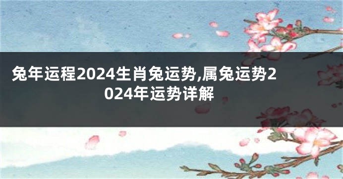 兔年运程2024生肖兔运势,属兔运势2024年运势详解