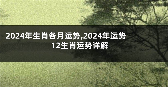 2024年生肖各月运势,2024年运势12生肖运势详解