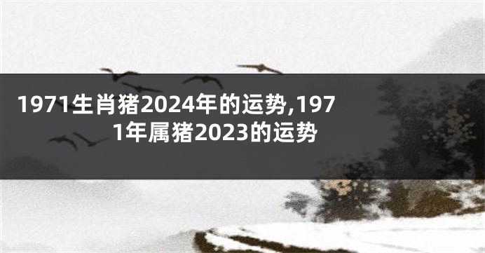 1971生肖猪2024年的运势,1971年属猪2023的运势