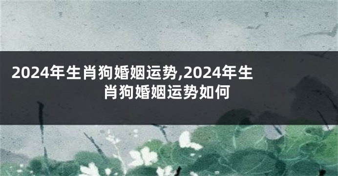 2024年生肖狗婚姻运势,2024年生肖狗婚姻运势如何