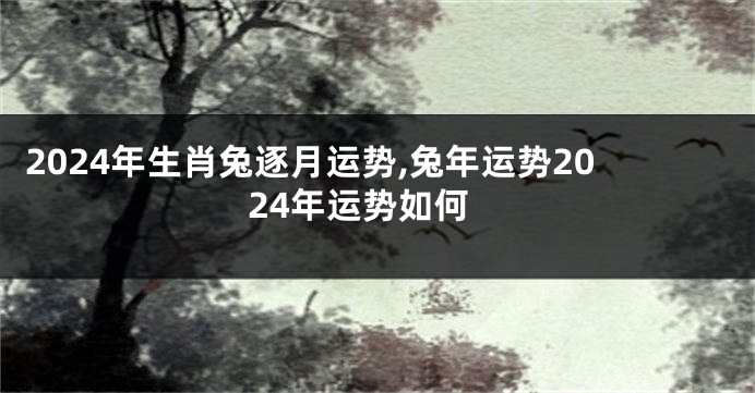 2024年生肖兔逐月运势,兔年运势2024年运势如何