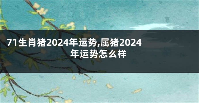 71生肖猪2024年运势,属猪2024年运势怎么样