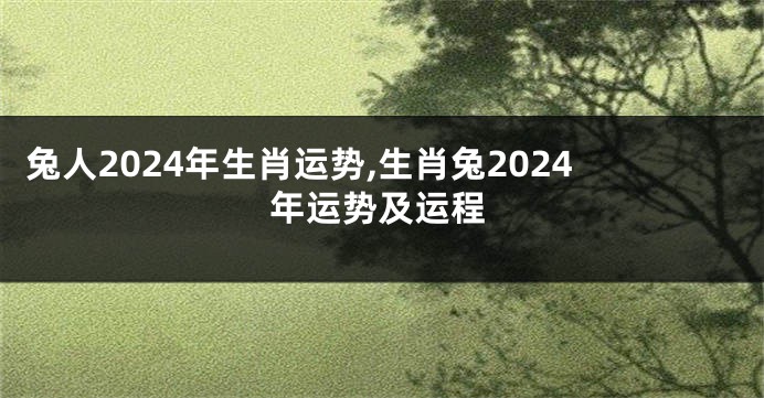 兔人2024年生肖运势,生肖兔2024年运势及运程