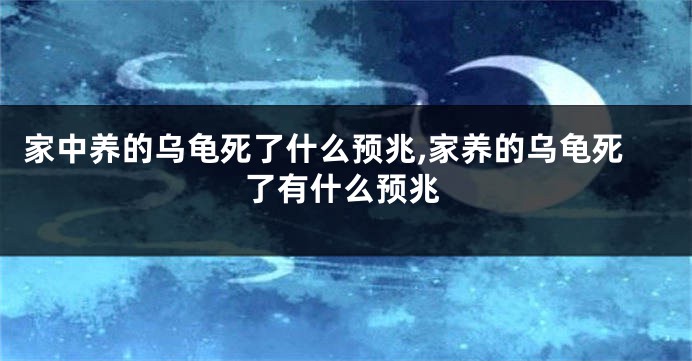 家中养的乌龟死了什么预兆,家养的乌龟死了有什么预兆