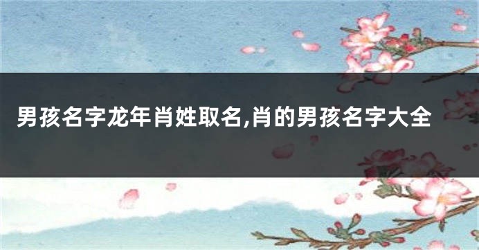 男孩名字龙年肖姓取名,肖的男孩名字大全