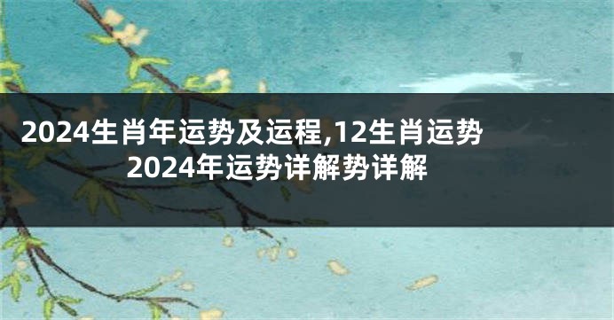 2024生肖年运势及运程,12生肖运势2024年运势详解势详解