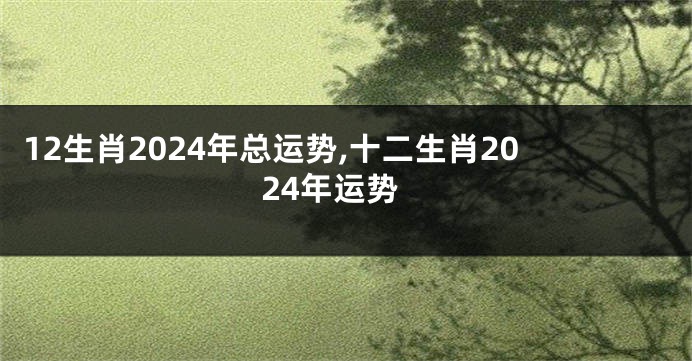 12生肖2024年总运势,十二生肖2024年运势