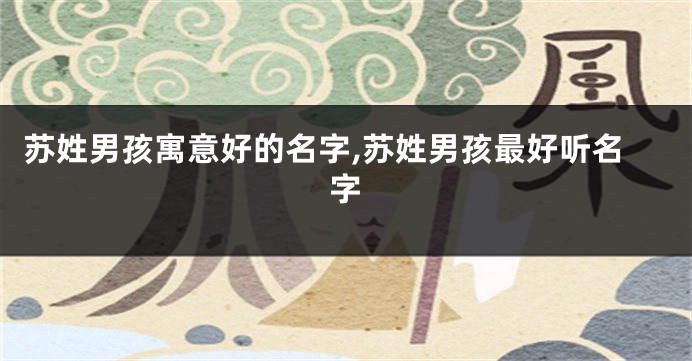 苏姓男孩寓意好的名字,苏姓男孩最好听名字