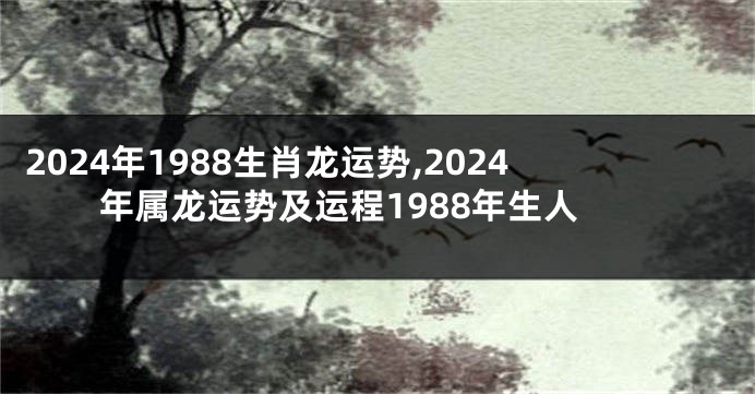 2024年1988生肖龙运势,2024年属龙运势及运程1988年生人