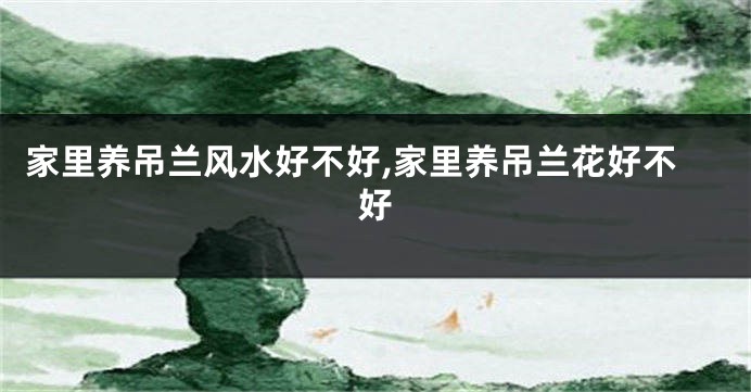 家里养吊兰风水好不好,家里养吊兰花好不好